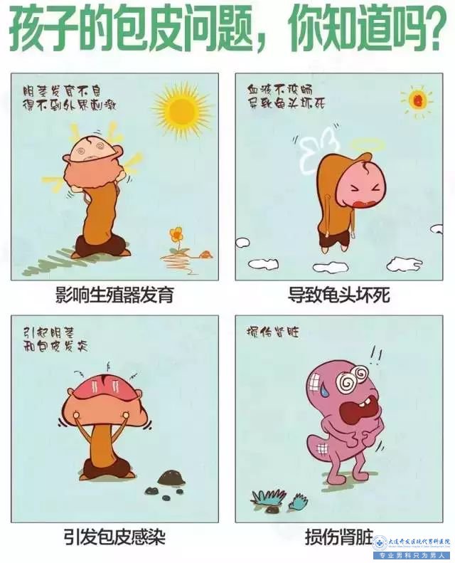 首先来科普一下孩子包皮问题