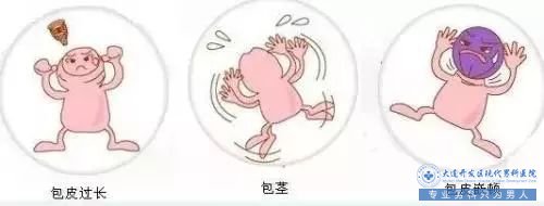 首先来科普一下孩子包皮问题